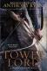 Raven's Shadow Series  2 Tower Lord (Anthony Ryan)